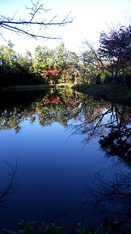一休寺4 一休寺4