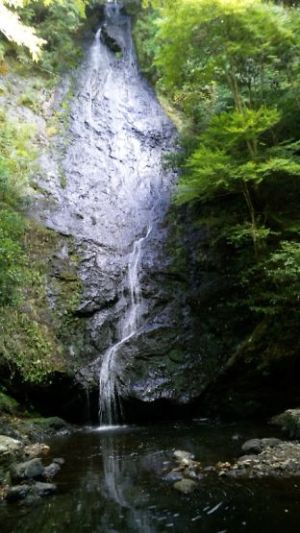 琴滝 琴滝