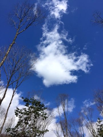国見山（枚方市）近くで
