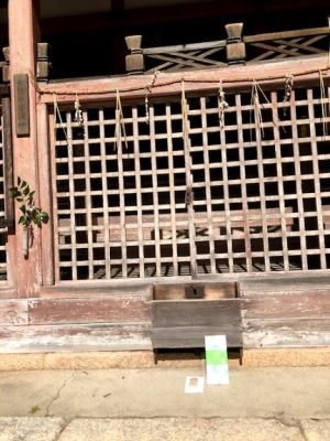 女性の守護神 女性の守護神