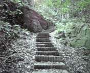神社の裏山の道