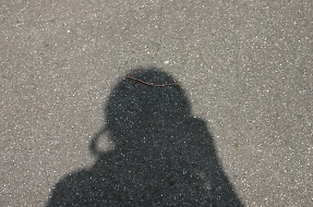 影踏み 影踏み